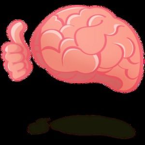 Meet your Posher, Bradley